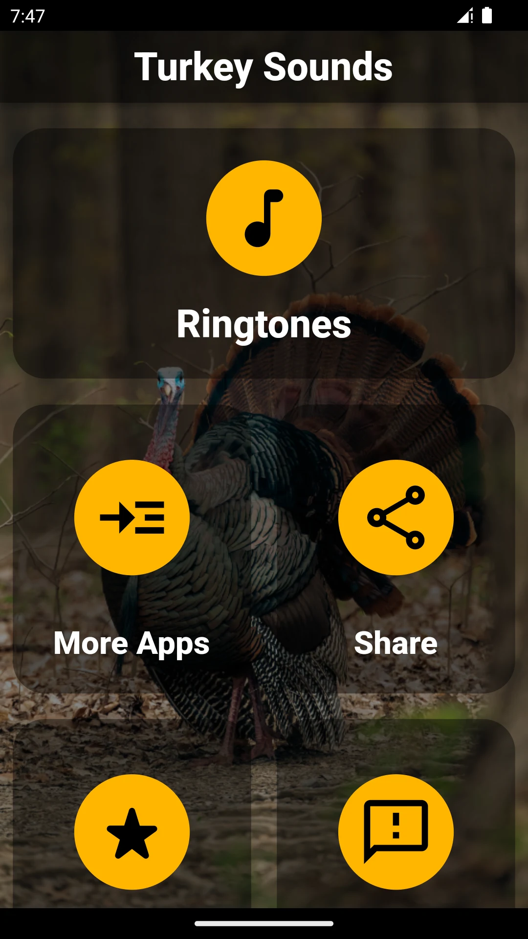 Turkey Ringtones screenshot
